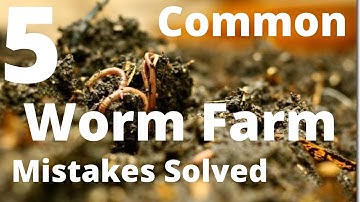5 Common Worm Farm Mistakes Solved | Troubleshooting Your Worm Farm Bin