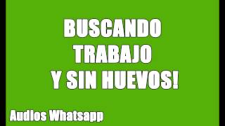 Audios Whatsapp: Buscando Trabajo en Municipalidad y Sin Huevos!!! screenshot 4