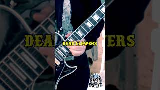 What If Slash Played The Solo In Dead Flowers? Dr. Omebs Take