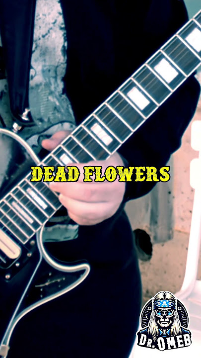 What if Slash Played the Solo in 'Dead Flowers'? | Dr. OMEB's Take 🎸