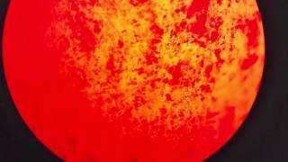 Information Olympus Provis AX70 Upright Micro Macro Motorized Fluorescent Microscope AX70TF [BOSTONIND] - 6974 Guide