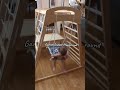 Garvee Indoor Playground #garvee #playground