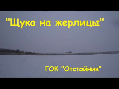 "За щукой на "отстойник" (Огромный пруд а мы без живца! Щука на жерлицы).