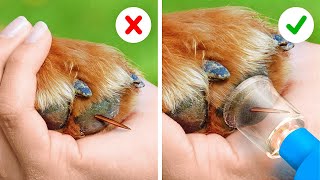 ペットの飼い主必見！ライフハックとガジェット