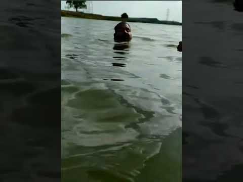 Crocodile Attack Captured on Video | Bhopal Dam | #crocodileattack