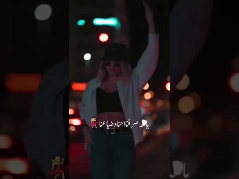 اضرب ولع فرفش واضحك مع المصرين