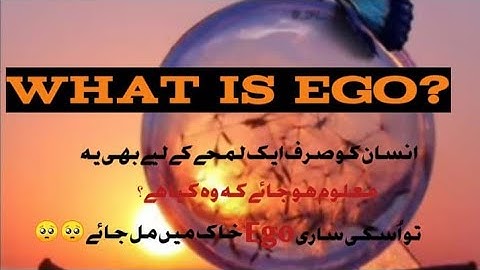 What is Ego? How to handle it to become a better person?