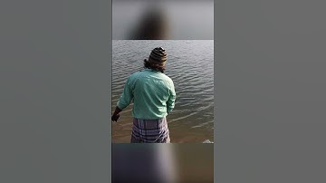 How to Make a Mullet Trap from a Plastic Bottle (Maida Bait Tested!)" (How-to)