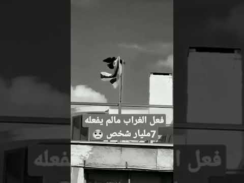 اه كم هو مواقف