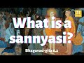 What is a sannyasi krishna gives this perfect explanation