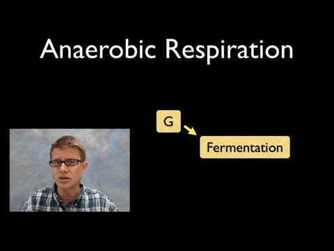Thumbnail for the embedded element "Anaerobic Respiration"
