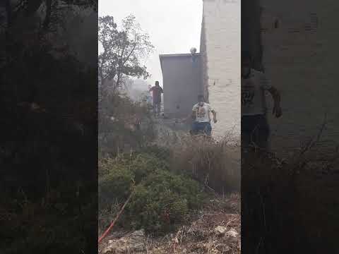 Πρόδρομος - Βοιωτίας: