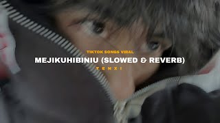 TENXI - MEJIKUHIBINIU (SLOWED & REVERB) TIKTOK SONGS VIRAL🥀