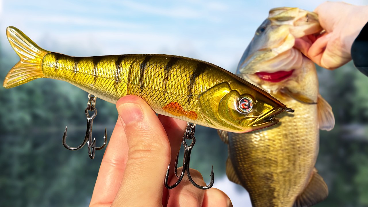 Best Glidebait for Cold Water Bass! Largemouth Bass Fishing in Late Winter & Early Spring
