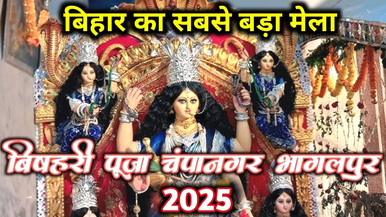 विषहरी पुजा लाइव चंपानगर भागलपुर |bishari puja live champanagar bhagalpur bihar