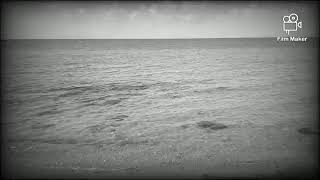 Telefon Zil Sesleri Dinle Zil Sesi Müzik Dinletelifiz51