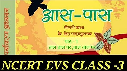 पर्यावरण अध्ययन| कक्षा 3|पाठ - 1 डाल डाल पर ,ताल ताल पर