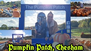 Celebrity Our first experience to do the Pumpkin Patch in Chesham Wealth