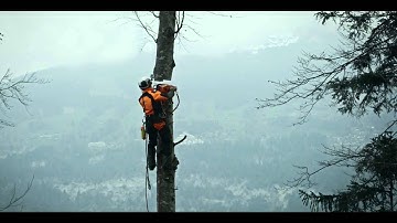 STIHL Team Stories 2016 – Timber extraction with helicopter and chainsaw