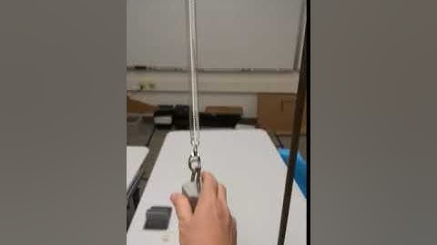 spring-mass system (vertical)