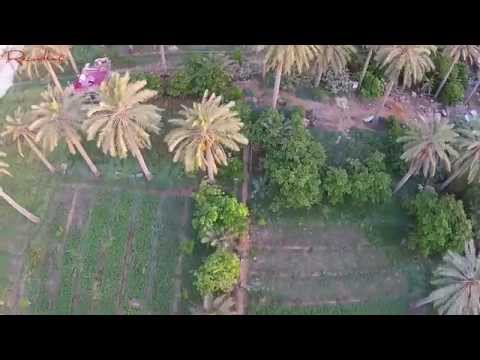 إحنا واحد شكري عاشور الوجيه ابن الوجيه