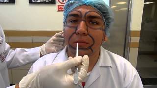 VIDEO REGIONES DE LA CARA