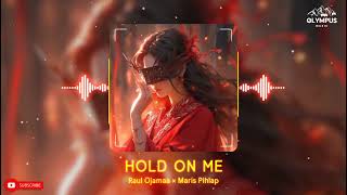 Hold On Me - Raul Ojamaa | Electronic Music Peak | EDM | NCS Sonic Vibes | Audio Spectrum Visuals