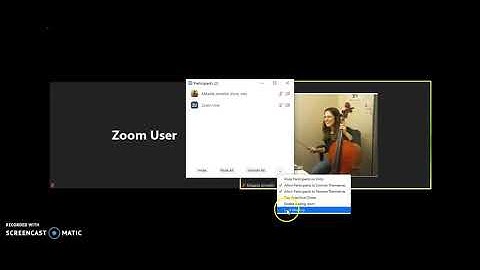How to manage participants in a Zoom meeting