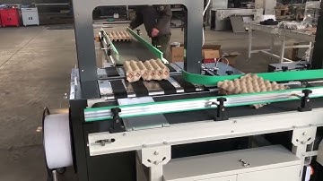 Automatic Box Case Carton Strapping Machine for Egg Tray #strapping #strappingmachine