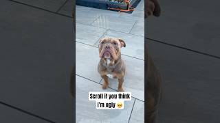 Follow Kimahri Thank You 🐾🥹🐾