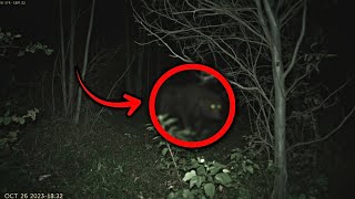 There’s Something Hunting People In The U.S’s Deep Woods