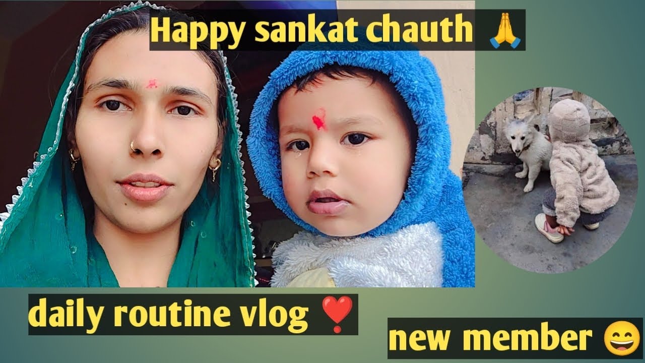 Daily routine vlog ❣️ happy sankat chauth or hmare new member se milo guys ❣️