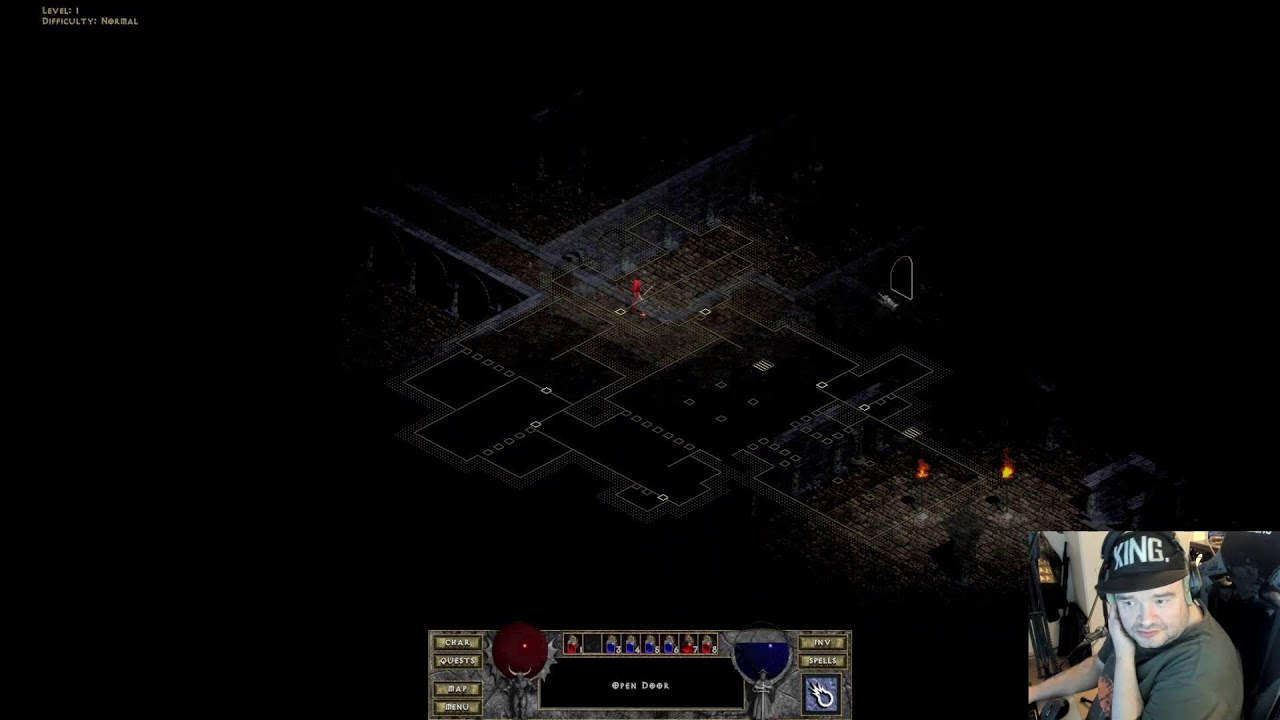 playing Diablo 2 class druid