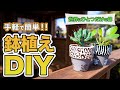 【ガーデニング・DIY】ペイントで一味違った鉢植えに!!