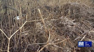 Massachusetts residents need open burning permits by January 15th