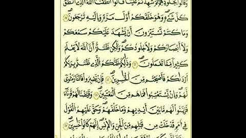 الآية ٢٠من سورة فصلت