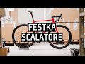 Festka scalatore  dream roadbike build