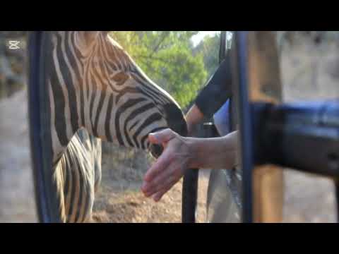 Phahama Lodge -  Phahama Lodge
