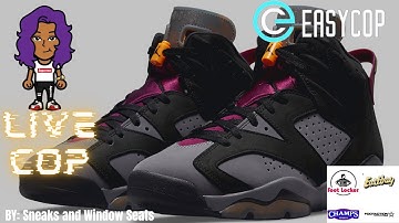 Jordan 6  Bordeaux Live Cop | Easy Cop Bot