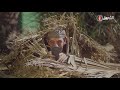 عمارة الحاج لخضر الموسم 06 الحلقة 16 الأنترنت Imarat EL Hadj Lakhder Épisode 16 عمارة الحاج لخضر الموسم 06 الحلقة 16 الأنترنت Imarat EL Hadj Lakhder Épisode 16