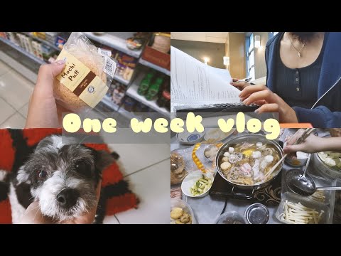 Study vlog | week before exam 📚 | lotsss of studying, 3 hotpots 🥘 in a week, groceries, etc...☕️🥑