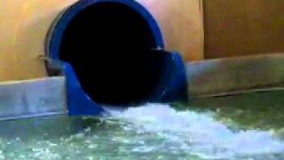Three bears water slides