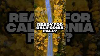Fall in California Is Magical 🍂 Discover the Best Hidden Color Spots! #CaliforniaFall