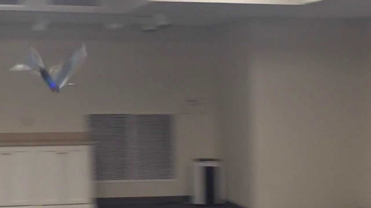 Avitron 2.0 in flight