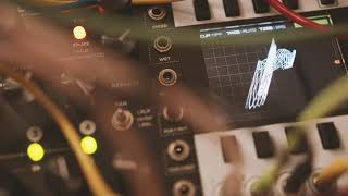 Mannequins MANGROVE - Eurorack Module on ModularGrid