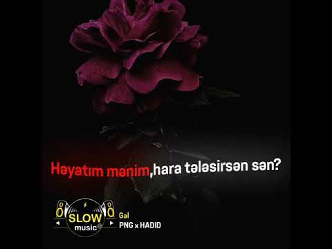 Heyatim menim hara telesirsen sen? PNG x HADID - Gəl (Lyrics Video) WhatsApp- Status