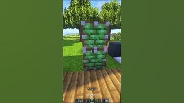 Minecraft: Hidden Chest 🤫