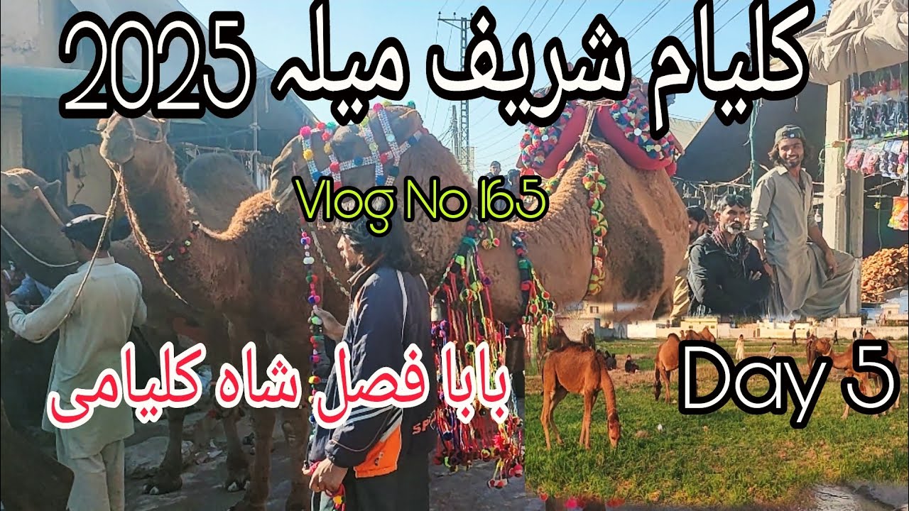 Kalyam Sharif mela 2025|Baba Fazal Shah Kalyami|Kalyam Awan|Camel 🐪 Market Kalyam|Qawali|Vlog No 165