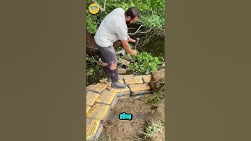 Bí Mật Đằng Sau Cách Xây Dựng Bằng Bao Xi Măng!