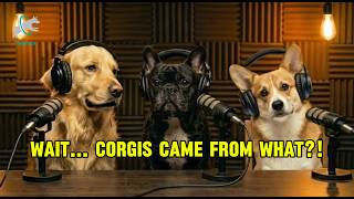 Corgis Have A Hidden Past And Its Insane